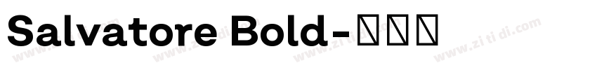 Salvatore Bold字体转换